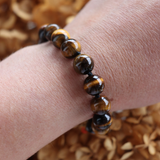 Fabuleu Voux - Tigers Eye Polished Bracelet