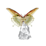 Swarovski - Idyllia Butterfly