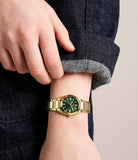 Fossil - Everett 3-hand Gold/Green Watch