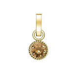 Rosefield - November Birthstone Charm Gold