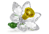 Swarovski - Florere Daffodil