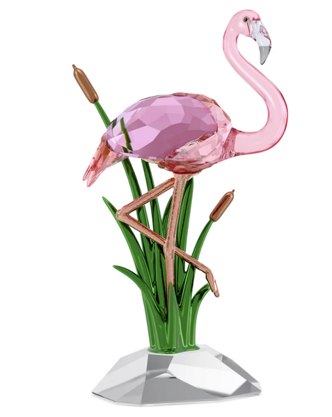 Swarovski - Idyllia Flamingo