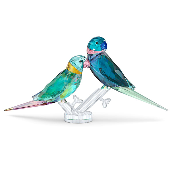 Swarovski - Jungle Beats Parakeet Couple Fife & Fifer