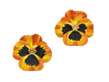 Karen Walker - Enamel Flower Earring 3mm Citrine