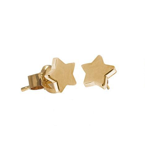 Boh Runga Stargazer Studs - 9ct Yellow Gold