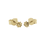 Meadowlark Micro Protea Studs - 9ct Yellow Gold