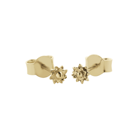 Meadowlark Micro Protea Studs - 9ct Yellow Gold