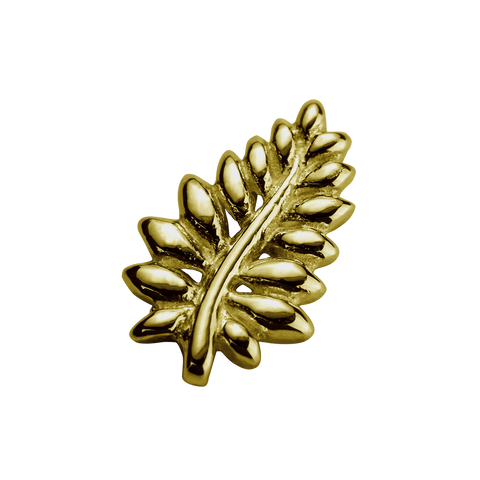 STOW NZ Fern (Loyal) Charm - 9ct Yellow Gold