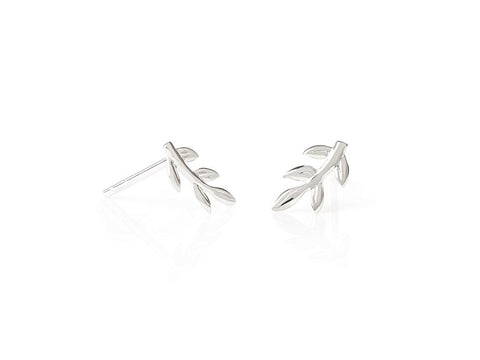 Daisy London Vine Stud Earrings